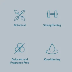 DHC Eyelash Tonic (6.5ml) -Beauty Mix Shop 11207530 1684859309959782