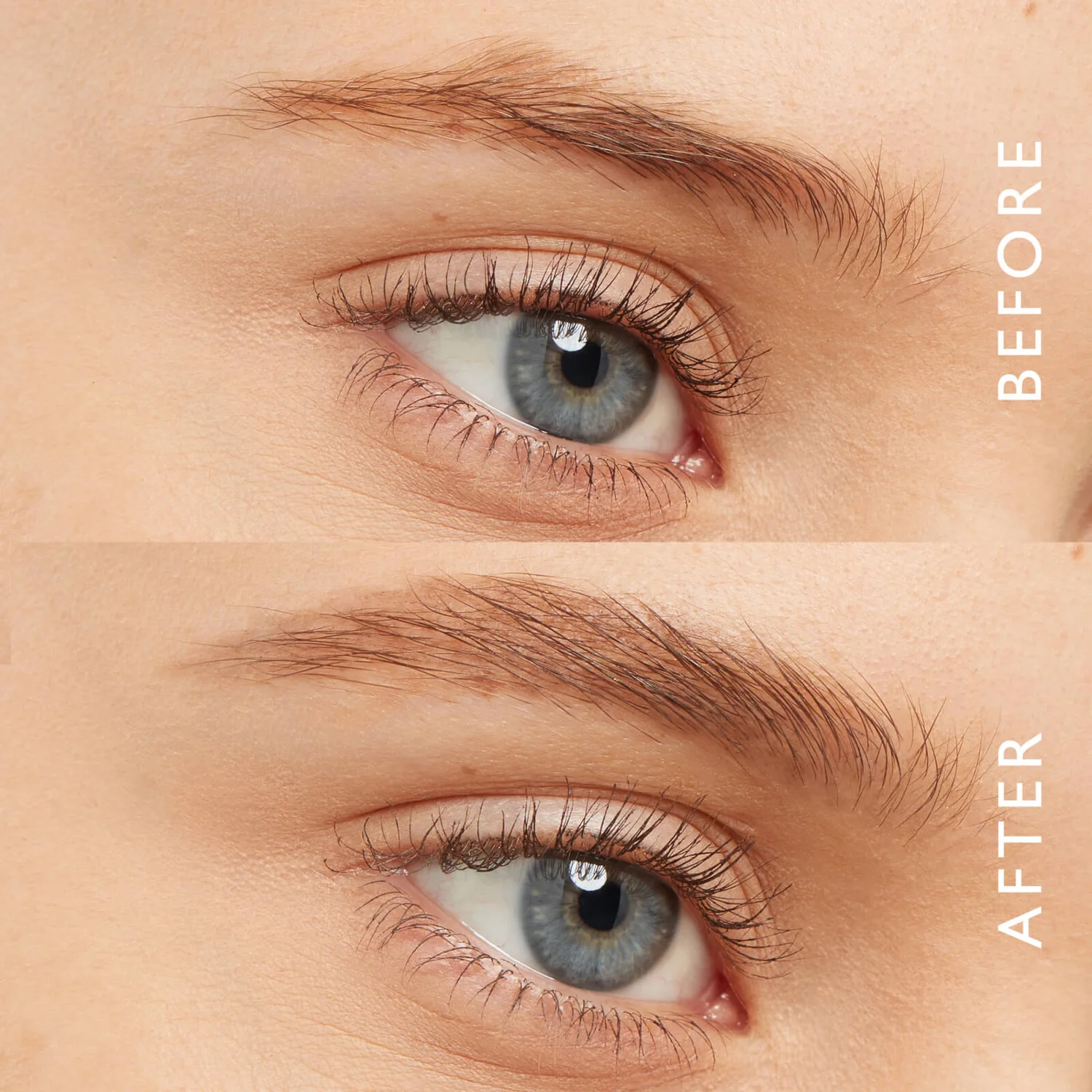 Eyeko Brow Gel - Tinted 3 Eyeko Brow Gel - Tinted - Image 3