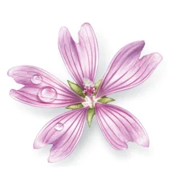 Mavala Aqua Plus Multi-Moisturising Sleeping Mask 75ml -Beauty Mix Shop 11484398 1354508932586505